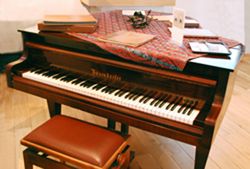Bösendorfer piano Lodewijk Mortelmans